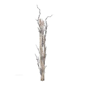 Frost Winter Birch Bundle, 28", Natural