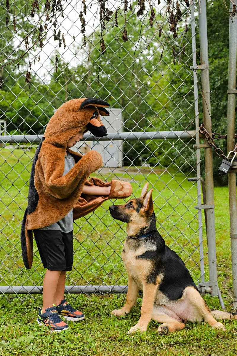 Great Pretenders German Shepherd Dog Cuddle Cape, Size 2-3