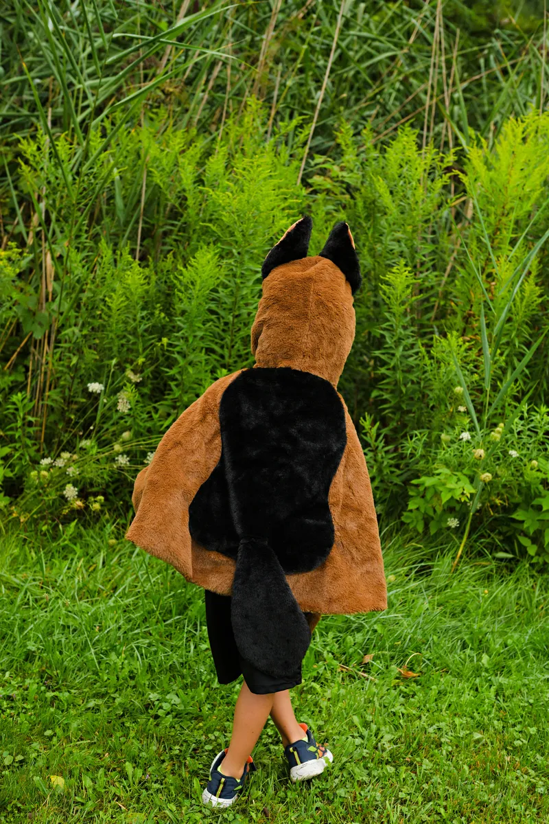 Great Pretenders German Shepherd Dog Cuddle Cape, Size 2-3