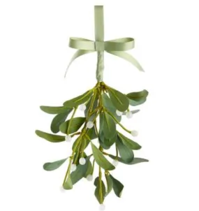 Iced Mistletoe Hanging Branch