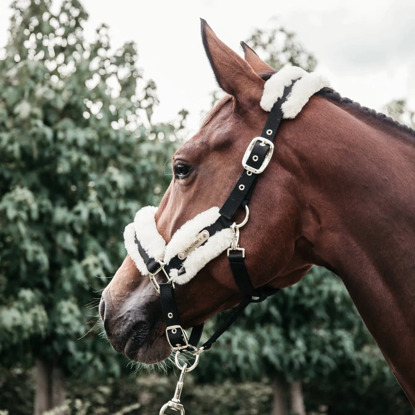 Kentucky Horsewear Nylon Sheepskin Headcollar - Natural