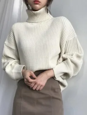 Solid Turtleneck Ribbed Knit Sweater