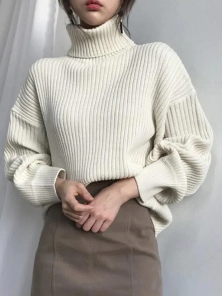 Solid Turtleneck Ribbed Knit Sweater