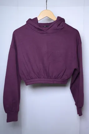 Zara Crop Hoodie (Small)